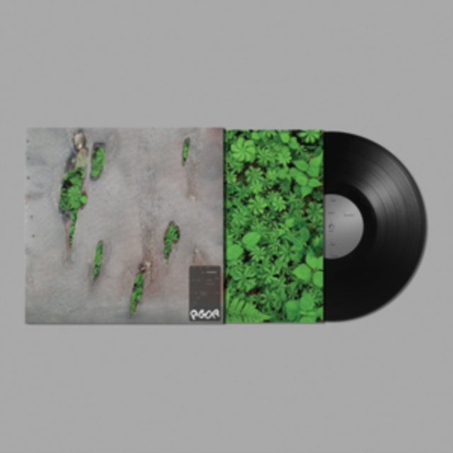 Koreless - Agor (Vinyl) (US Import)