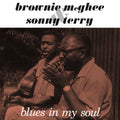 Brownie Mcghee & Sonny Terry - Blues In My Soul (Vinyl) (US Import)