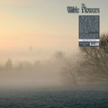 Wilde Flowers - Wilde Flowers (180g) (Vinyl) (US Import)