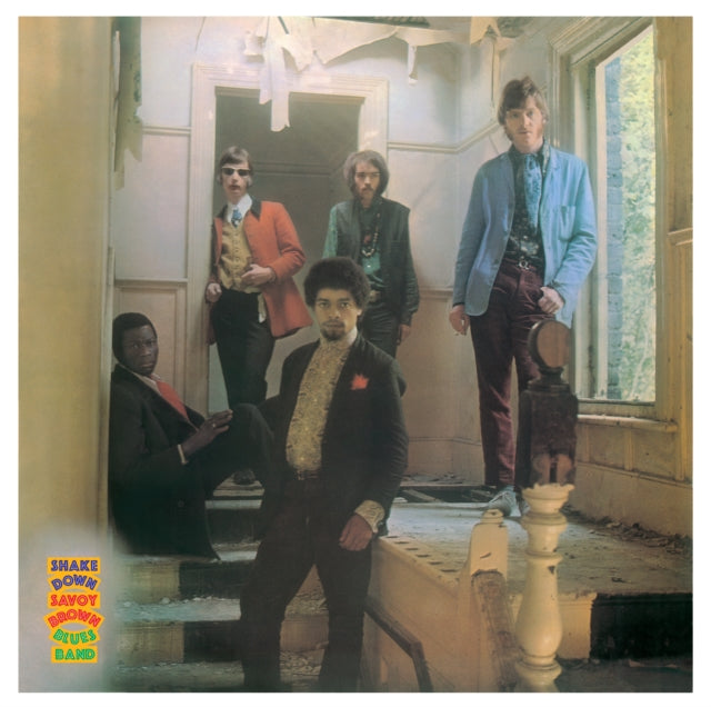 Birds - Ronnie Wood's Birds (45RPM) (Vinyl) (US Import)