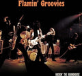 Flamin' Groovies - Rockin' The Roundhouse (Orange Vinyl) (Vinyl) (US Import)
