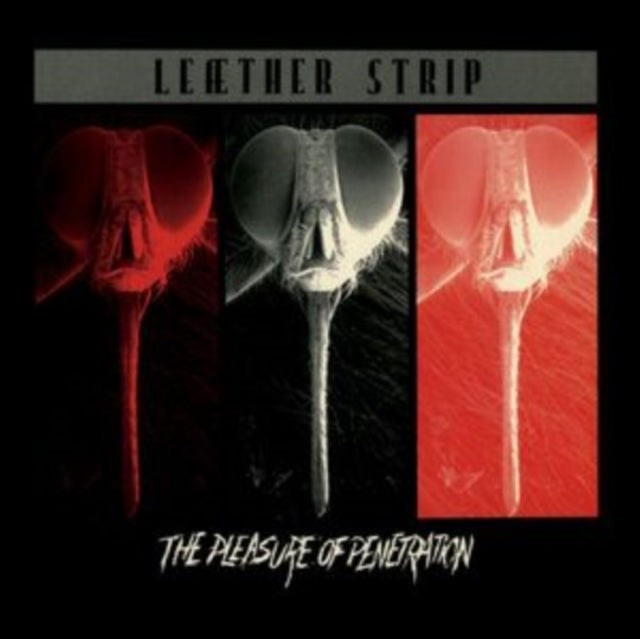 Leather Strip - Pleasure Of Penetration (Silver Vinyl) (Vinyl) (US Import)