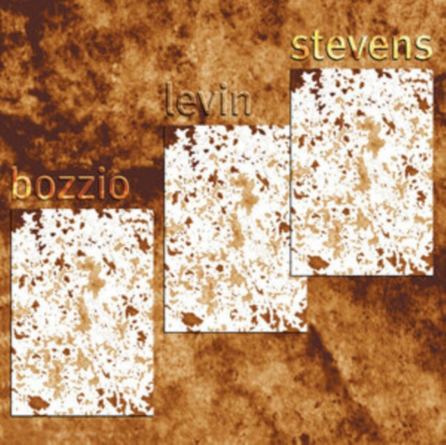 Bozzio Levin Stevens - Situation Dangerous (Vinyl) (US Import)