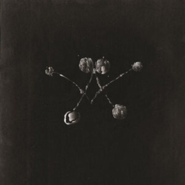 Waterstrider - Nowhere Now (150g Vinyl/DL Card) (Vinyl) (US Import)