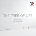 Daniel Taylor - Tree Of Life (CD)