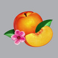 Phoenix - Bankrupt (Vinyl) (US Import)
