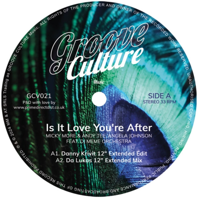 Micky More & Andy Tee Feat. Angela Johnson & DJ Meme Orchestra - Is It Love You're After (Vinyl) (US Import)