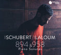 Laloum Adam - Schubert: Sonatas D. 894 & D. 958 (CD)