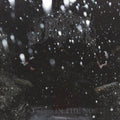 Immortal - Battles In The North (CD)