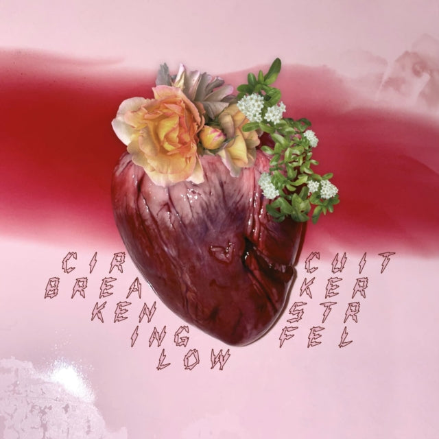 Ken Stringfellow - Circuit Breaker (Vinyl) (US Import)