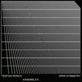 Perich Tristan & Ensemble 0 - Open Symmetry (Transparent Vinyl) (Vinyl) (US Import)