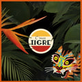 C'Mon Tigre - Habitat (Vinyl) (US Import)