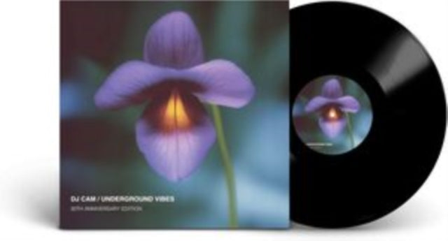 DJ Cam - Underground Vibes (30th Anniversary) (Vinyl) (US Import)
