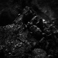 Deathspell Omega - Long Defeat (CD) (US Import)