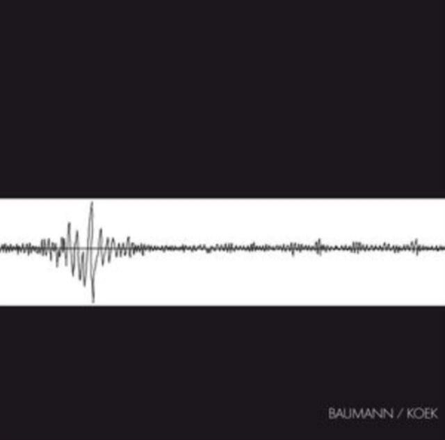 Baumann / Koek - Baumann/Koek (Vinyl) (US Import)