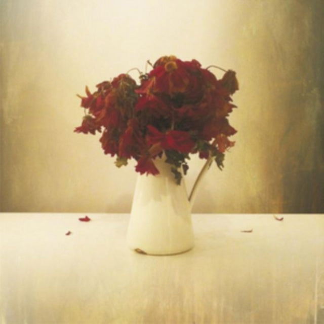 Lion & The Wolf - Cardiac Hotel (Vinyl) (US Import)