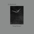 Monochrome Set - Strange Boutique (Vinyl) (US Import)