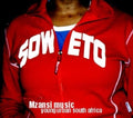 Various Artists - Mzansi Music-Young Urban (CD)
