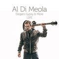Di Meola,Al - Elegant Gypsy & More (2LP) (Vinyl) (US Import)