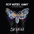 New Model Army - Sinfonia (Vinyl) (US Import)