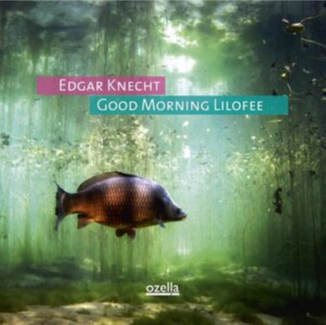 Edgar Knecht - Good Morning Lilofee (Vinyl) (US Import)