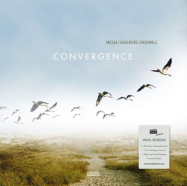Mezza Ginsburg Ensemble - Convergence (Vinyl) (US Import)
