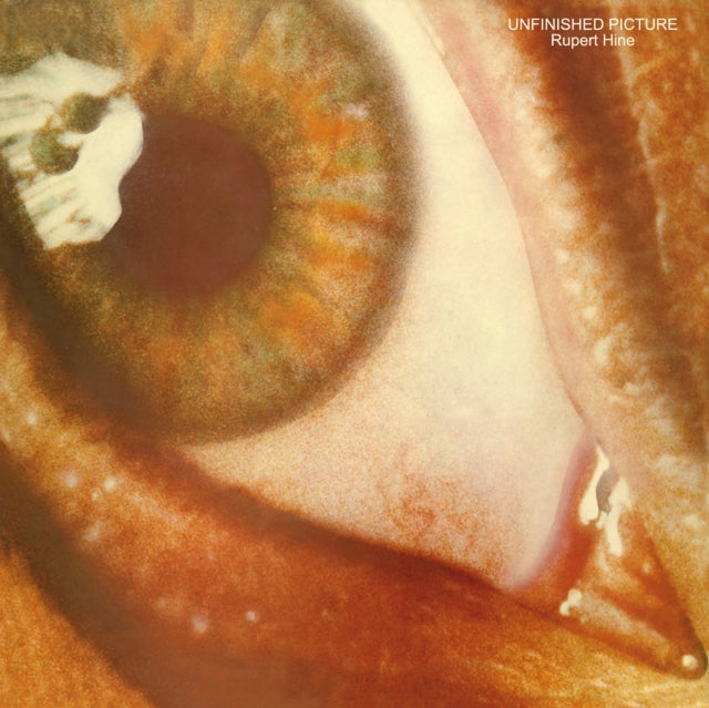 Rupert Hine - Unfinished Picture (Vinyl) (US Import)