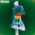 Bush - Kingdom (Vinyl) (US Import)