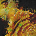 Imminence - Heaven In Hiding (Boxset) (CD)