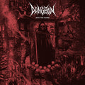 Dungeon - Into The Ruins (Vinyl) (US Import)