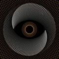 Ocean - Holocene (Instrumental) (Vinyl) (US Import)