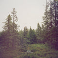 Gidge - AB10: Autumn Bells (10 Year Anniversary) (3LP) (Vinyl) (US Import)