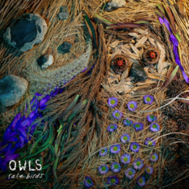 Owls - Rare Birds (Vinyl) (US Import)