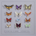 Dominik Eulberg - Lepidoptera (2LP) (Vinyl) (US Import)