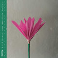 Kiri Ra! - Nen (Vinyl) (US Import)