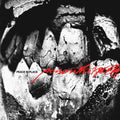 Poison The Well - Peace In Place (CD)