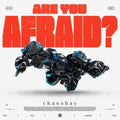Chaosbay - Are You Afraid (Vinyl) (US Import)
