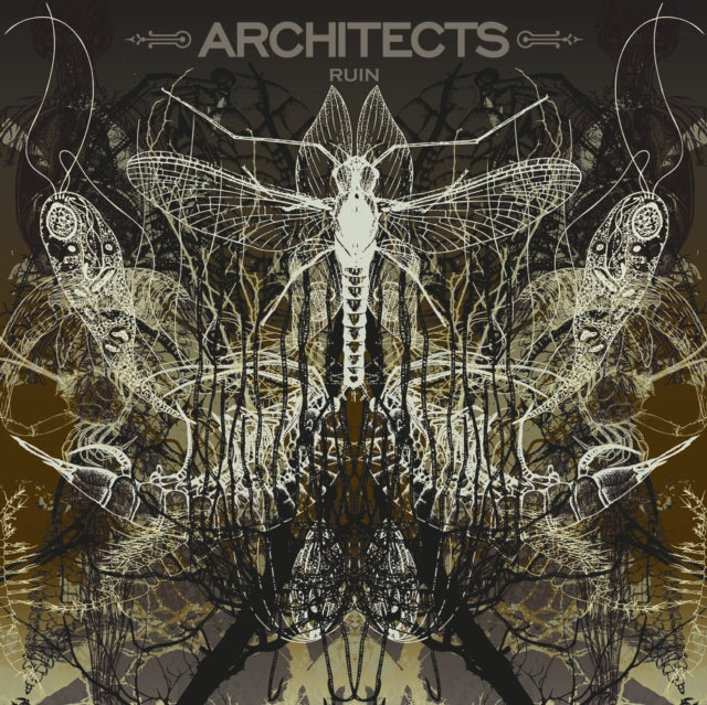 Architects - Ruin (Limited/Picture Disc) (Vinyl) (US Import)