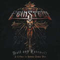 David Rock Feinstein - Hail & Farewell (CD)