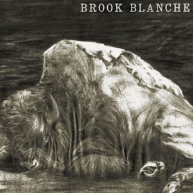 Brook Blanche - Brook Blanche (Vinyl) (US Import)