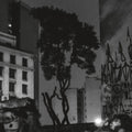 Manuel Pessoa De Lima - Realejo (Vinyl) (US Import)