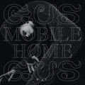 Gusgus - Mobile Home (Vinyl) (US Import)