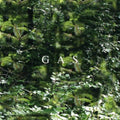 Gas - Der Lange Marsch (CD) (US Import)