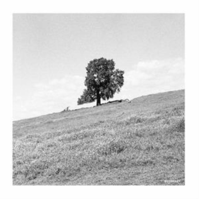 Blank Gloss - Cornered (Vinyl) (US Import)