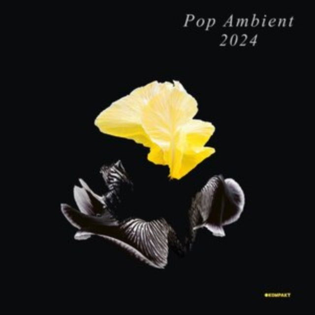 Various Artists - Pop Ambient 2024 (Vinyl) (US Import)