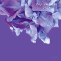 Various Artists - Pop Ambient 2025 (CD)