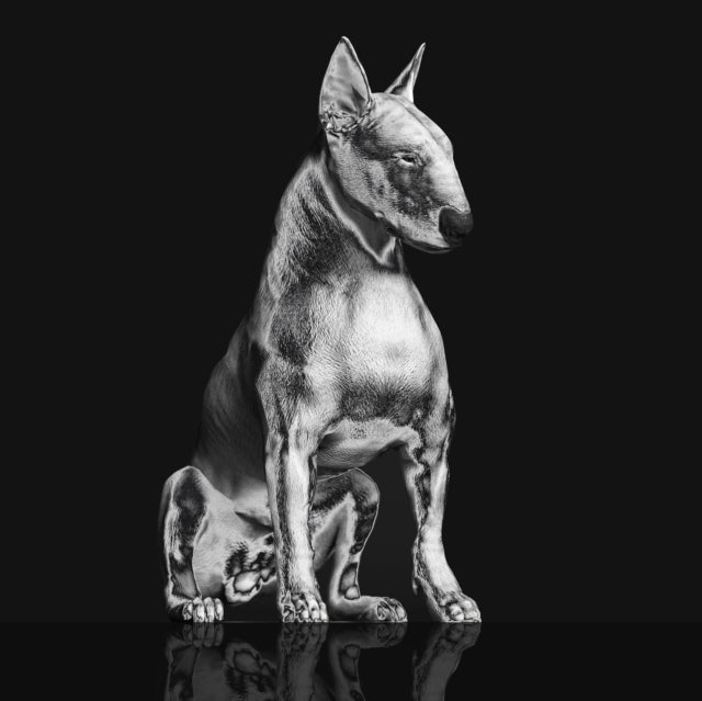 Riskee & The Ridicule - Platinum Statue (Clear Marbled Vinyl) (Vinyl) (US Import)