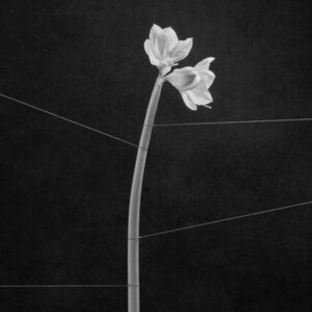 Trentemoller - Dreamweaver (Cassette)