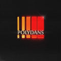 Roosevelt - Polydans (CD)