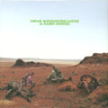 Rodriguez-Lopez,Omar & Damo Suzuki - Please Heat This Eventually (Vinyl) (US Import)